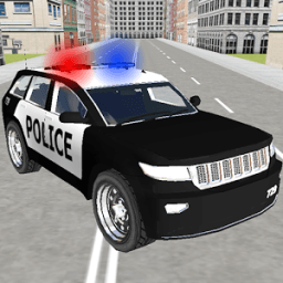 ikon Police Traffic Racer