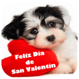 Feliz día del Amor y amistad 2020 icon