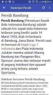 Lagu Persib Lengkap Terbaru screenshot 4