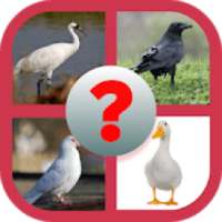 See The Bird - Guess The Name logo