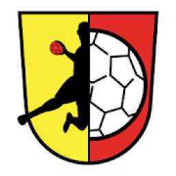 TGS Seligenstadt Handball