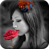 Color Splash : Photo Effect & Photo Editor