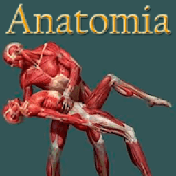 anatomia humana gratis en español icon