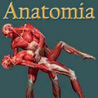 anatomia humana gratis en español on 9Apps