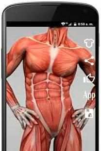 anatomia humana gratis en español screenshot 4