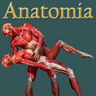 anatomia humana gratis en español screenshot 5