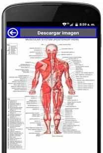 anatomia humana gratis en español screenshot 1