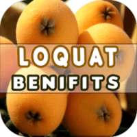 Loquat Benefits