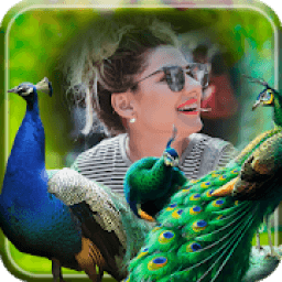 Peacock photo Frame icon