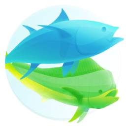 Pro Angler - Fish like a Pro!