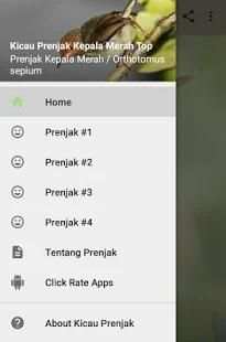Kicau Prenjak Kepala Merah Merdu screenshot 1