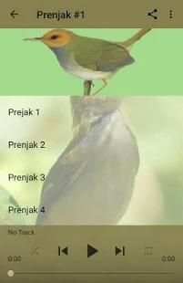 Kicau Prenjak Kepala Merah Merdu screenshot 5