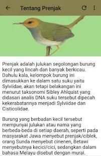 Kicau Prenjak Kepala Merah Merdu screenshot 3