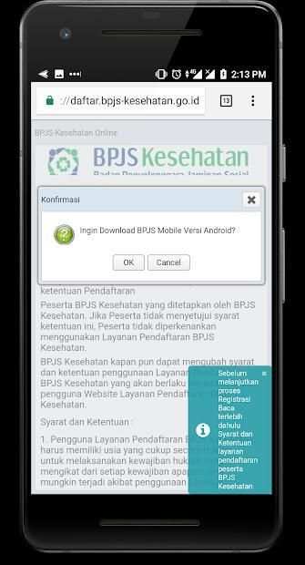 BPJS screenshot 2