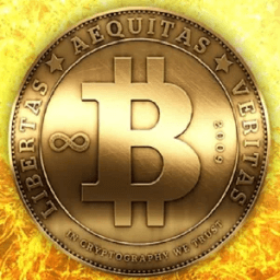 ikon Bitcoin PRO