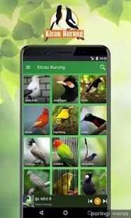 Masteran Kicau Burung Terlengkap скриншот 4