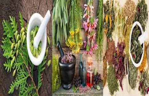 Medicinal Herbal screenshot 2