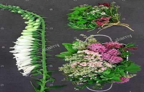 Medicinal Herbal screenshot 1