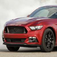 Mustang Drive Simulator