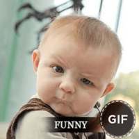 Funny GIFs