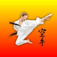 Karate Fight Champ 2018 Pro on 9Apps