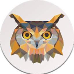 Owl Web Browser - Beta
