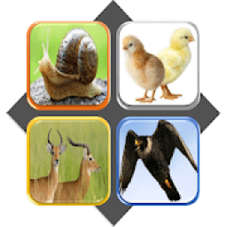 Tebak Gambar Hewan icon