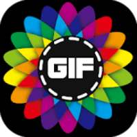 Convert Photos to Video Gif Creator & Editor