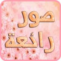 صور منوعة ( تحديث يومي )
‎ on 9Apps