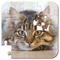 Jigsaw Puzzles Cats