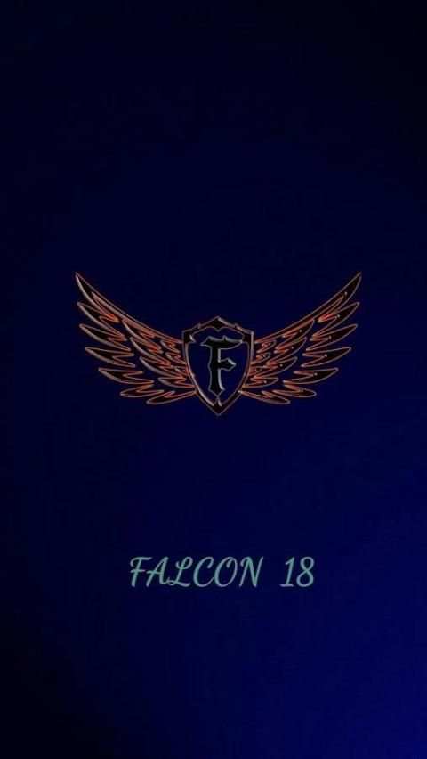 falcon 18 скриншот 3