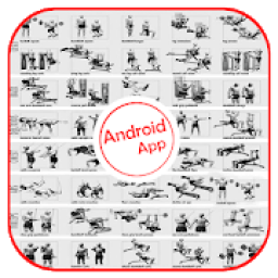 ikon Full Body Workout