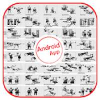 Full Body Workout on 9Apps