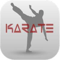 Karate Training and Exercises Guide
