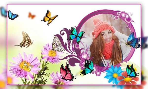 Butterfly Photo Frames screenshot 2