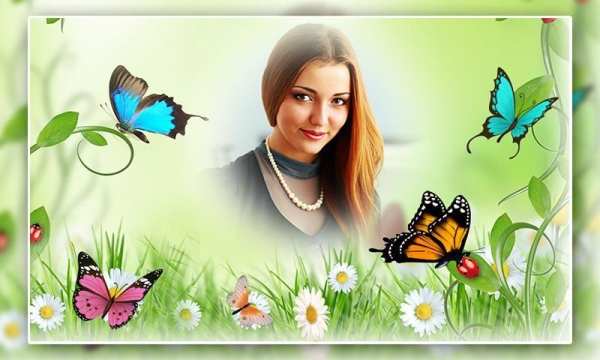 Butterfly Photo Frames screenshot 3