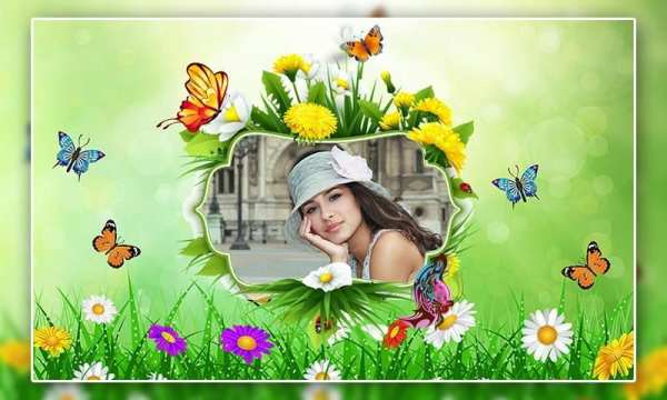 Butterfly Photo Frames screenshot 5
