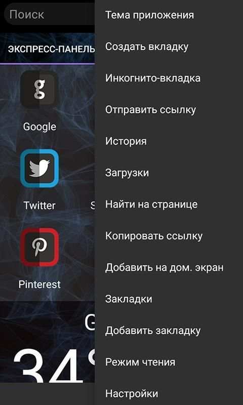 Spy Browser screenshot 4