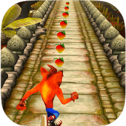 Temple Lost Crash Jungle Run Bandicot icon