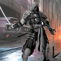 ikon Ninja Shadow Asassin Fight