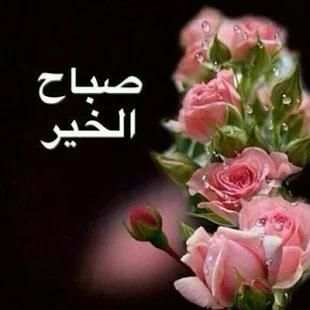 صور متحركة بها كلمات تهاني الصباح ومساء
‎ screenshot 6
