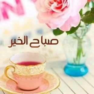 صور متحركة بها كلمات تهاني الصباح ومساء
‎ screenshot 4