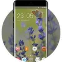 theme space interstellar