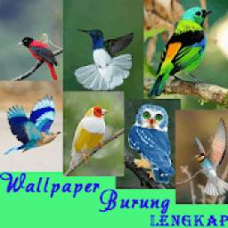 Wallpaper Burung 2.0