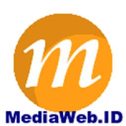 MediaWeb CEO