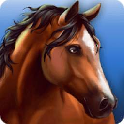 HorseHotel - Care for horses