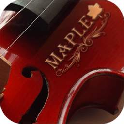 Maple Violin - Learn to Play Violin
