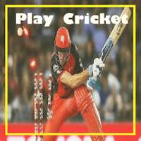 Play Cricket