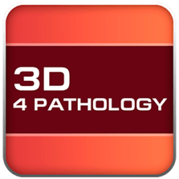 Pathology 3D Constructor icon