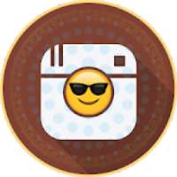 10000+ InstaBio Collection